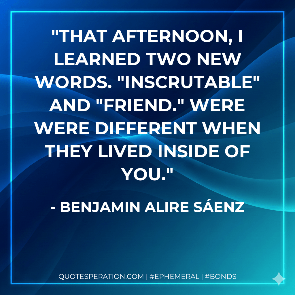 That afternoon, I learned two new words. "Inscrutable" and "friend." were were different when they lived inside of you. - Benjamin Alire Sáenz