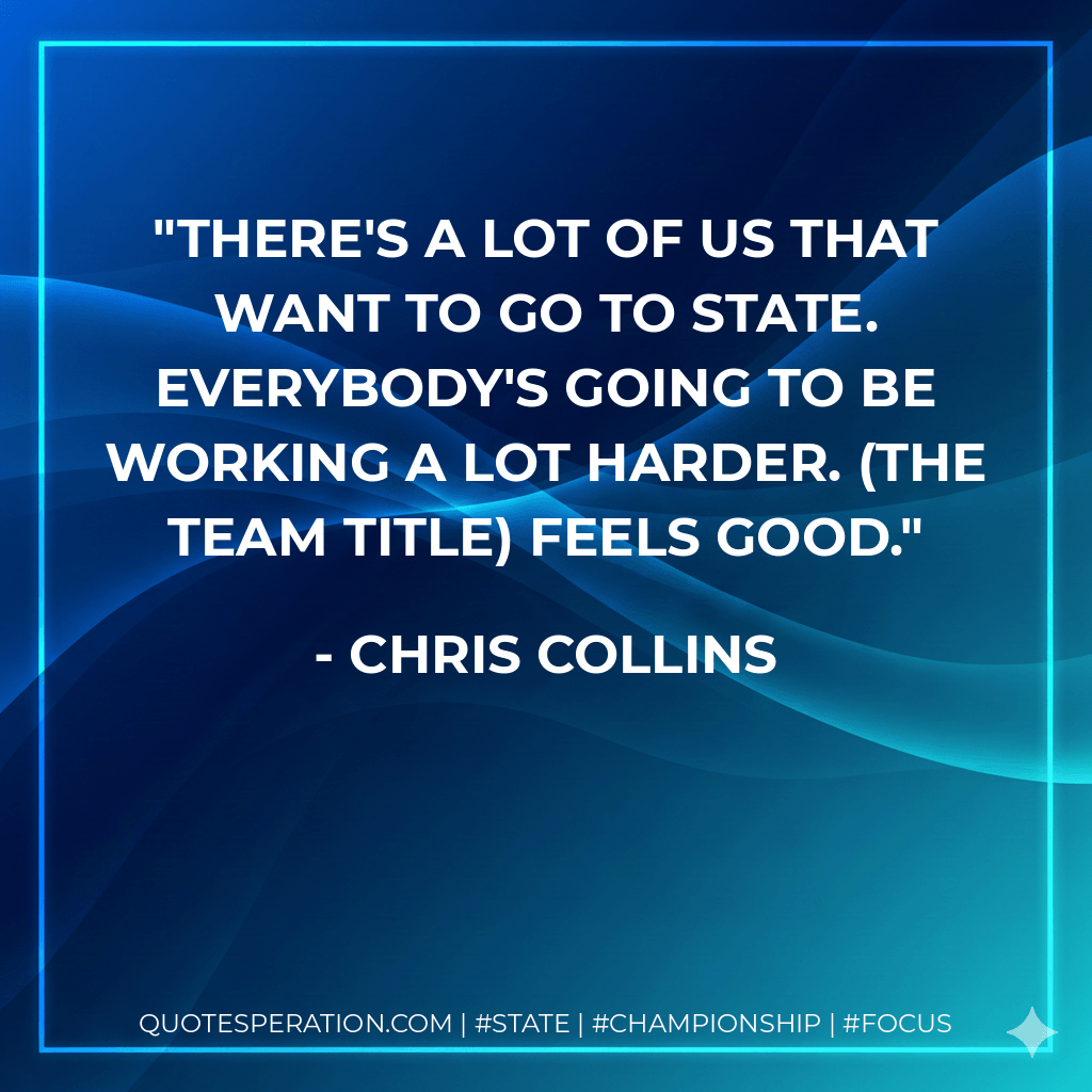 There's a lot of us that want to go to state. Everybody's going to be working a lot harder. (The team title) feels good. - Chris Collins