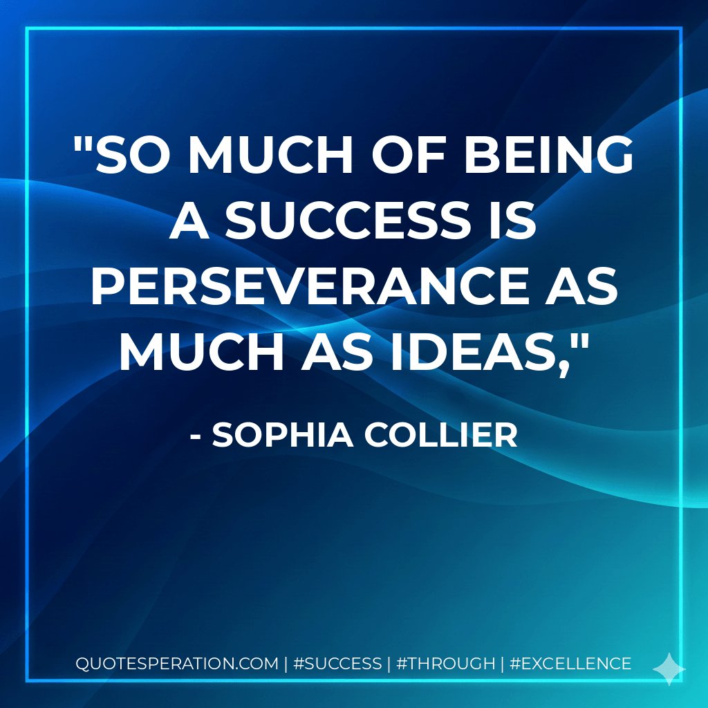 So much of being a success is perseverance as much as ideas, - Sophia Collier