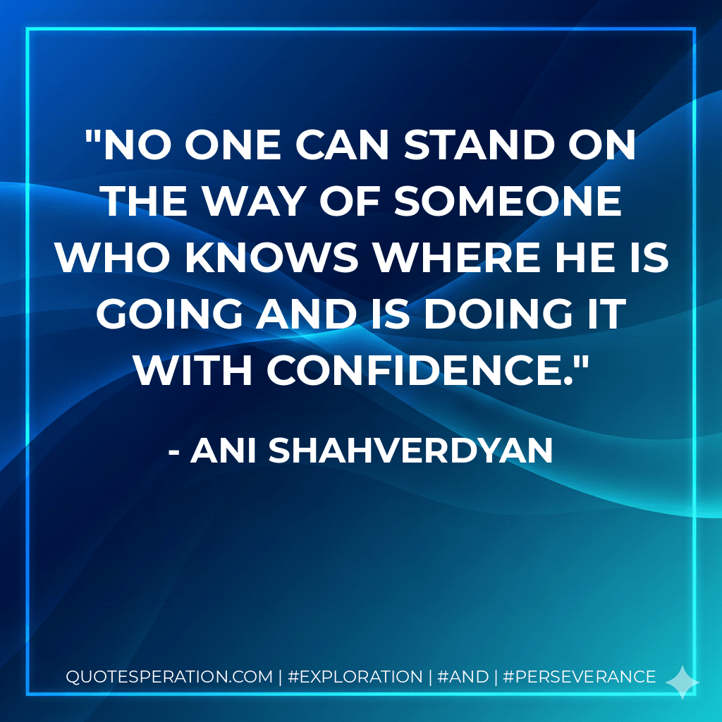 No one can stand on the way of someone who knows where he is going and is doing it with confidence. - Ani Shahverdyan