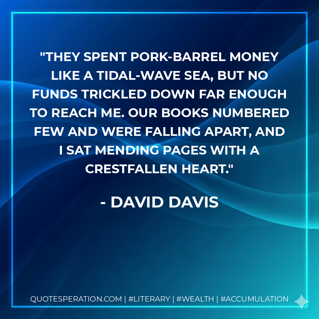 They spent pork-barrel money like a tidal-wave sea, but no funds trickled down far enough to reach me. Our books numbered few and were falling apart, and I sat mending pages with a crestfallen heart. - David Davis