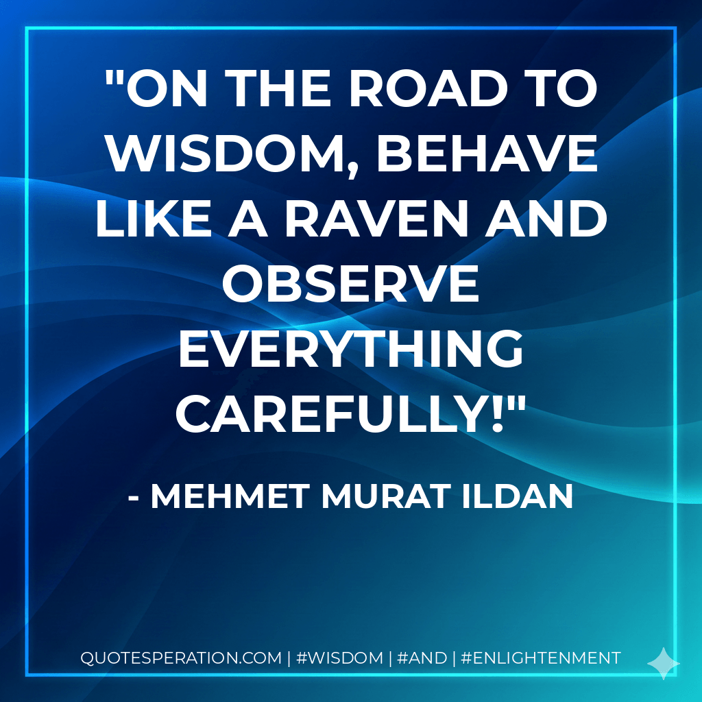 On the road to wisdom, behave like a raven and observe everything carefully! - Mehmet Murat ildan