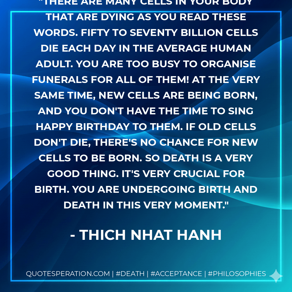 There are many cells in your body that are dying as you read these words. Fifty to seventy billion cells die each day in the average human adult. You are too busy to organise funerals for all of them! At the very same time, new cells are being born, and you don't have the time to sing Happy Birthday to them. If old cells don't die, there's no chance for new cells to be born. So death is a very good thing. It's very crucial for birth. You are undergoing birth and death in this very moment. - Thich Nhat Hanh