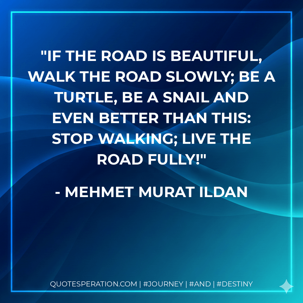 If the road is beautiful, walk the road slowly; be a turtle, be a snail and even better than this: Stop walking; live the road fully! - Mehmet Murat ildan