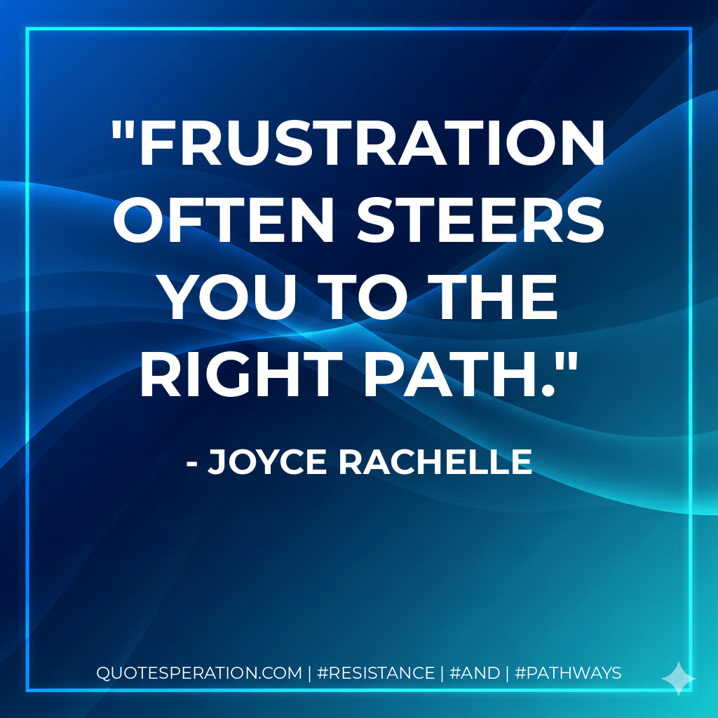 Frustration often steers you to the right path. - Joyce Rachelle