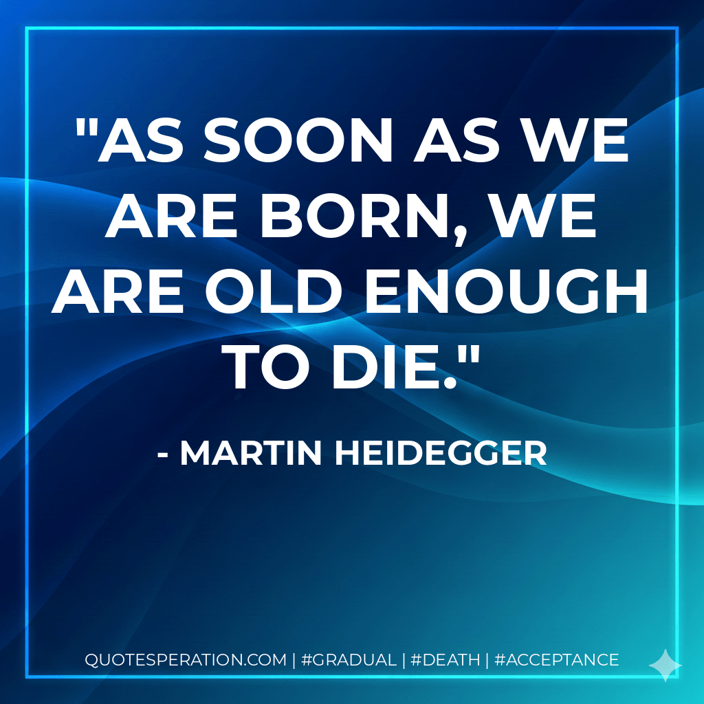 As soon as we are born, we are old enough to die. - Martin Heidegger