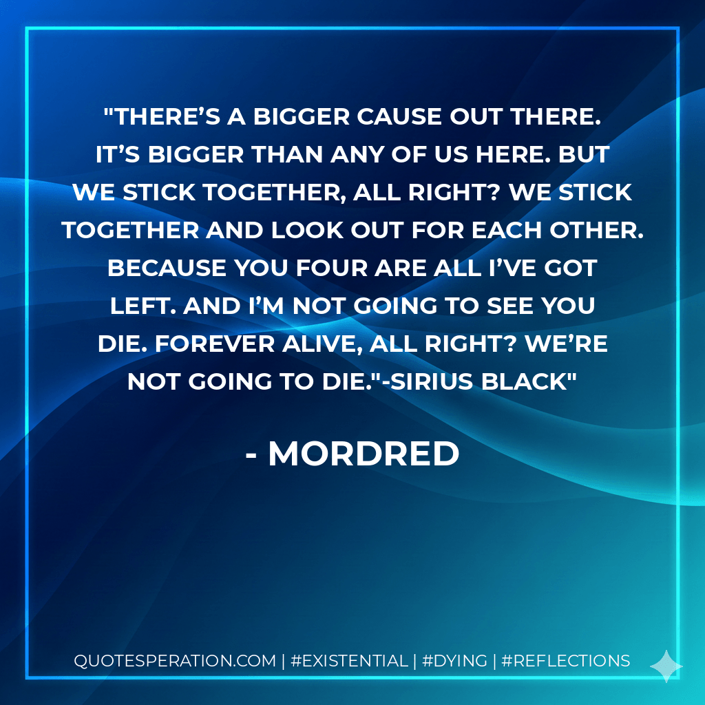 There’s a bigger cause out there. It’s bigger than any of us here. But we stick together, all right? We stick together and look out for each other. Because you four are all I’ve got left. And I’m not going to see you die. Forever alive, all right? We’re not going to die."-Sirius Black - Mordred