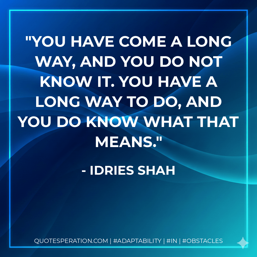 You have come a long way, and you do not know it. You have a long way to do, and you do know what that means. - Idries Shah