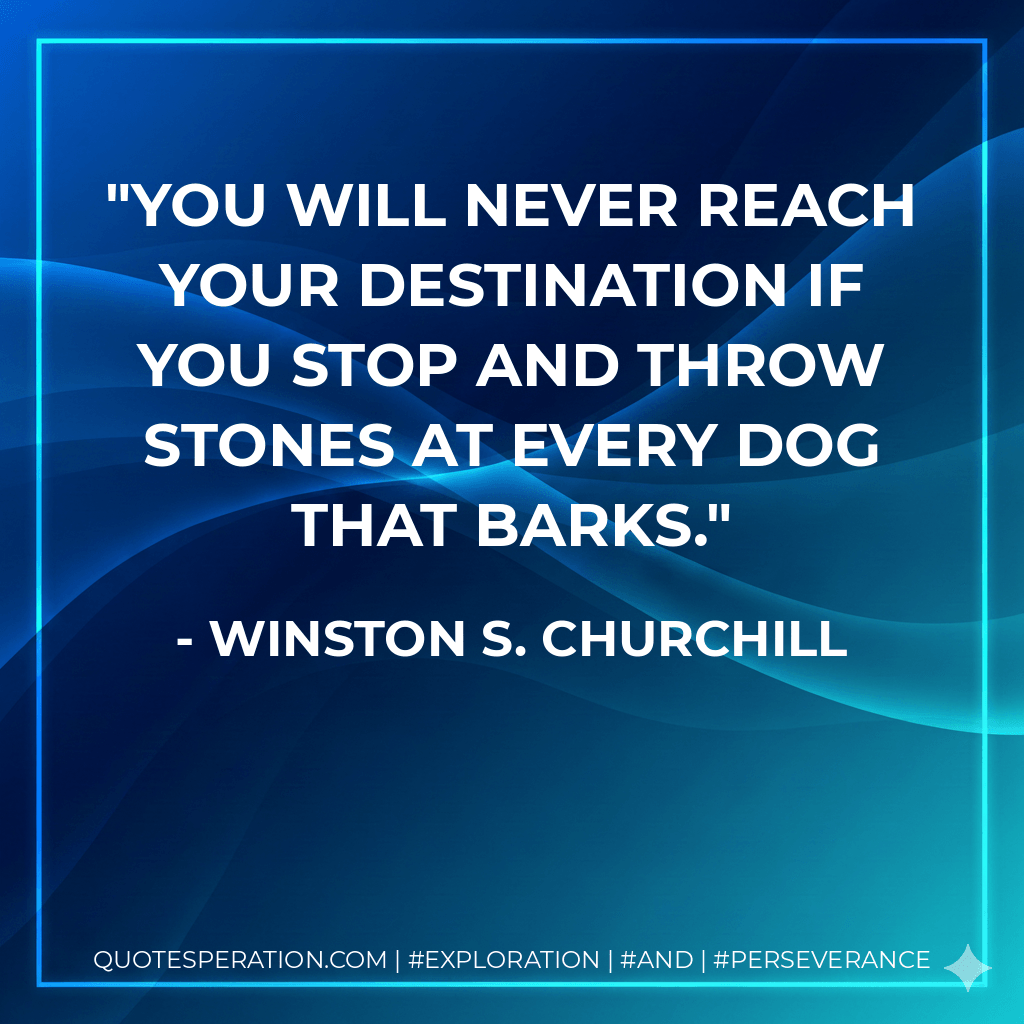 You will never reach your destination if you stop and throw stones at every dog that barks. - Winston S. Churchill