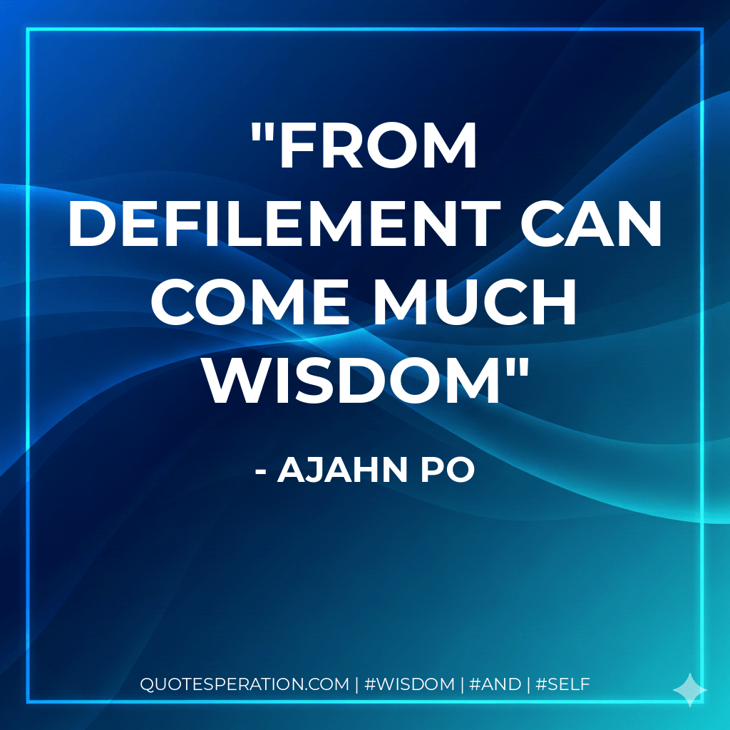 From defilement can come much wisdom - Ajahn Po