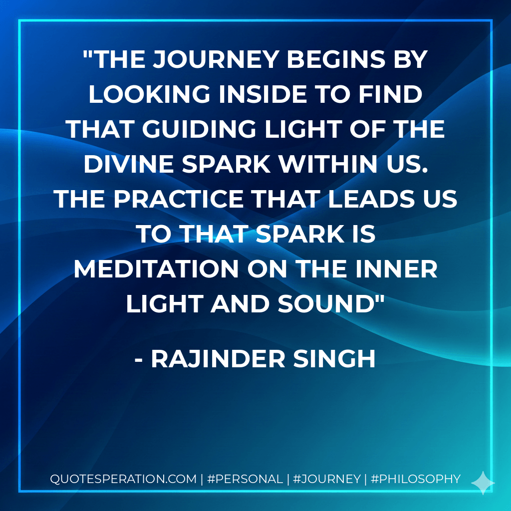 The journey begins by looking inside to find that guiding light of the Divine spark within us. The practice that leads us to that spark is meditation on the inner light and sound - Rajinder Singh