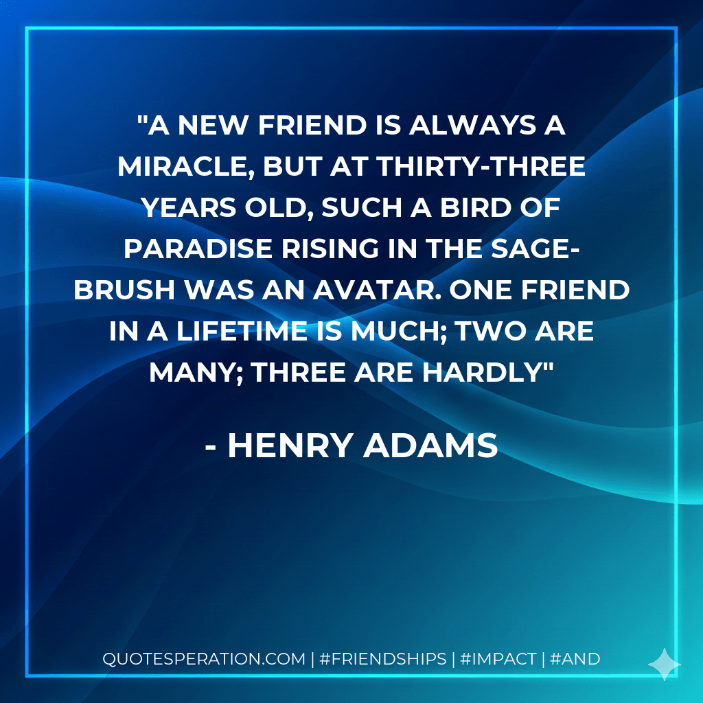 A new friend is always a miracle, but at thirty-three years old, such a bird of paradise rising in the sage-brush was an avatar. One friend in a lifetime is much; two are many; three are hardly - Henry Adams