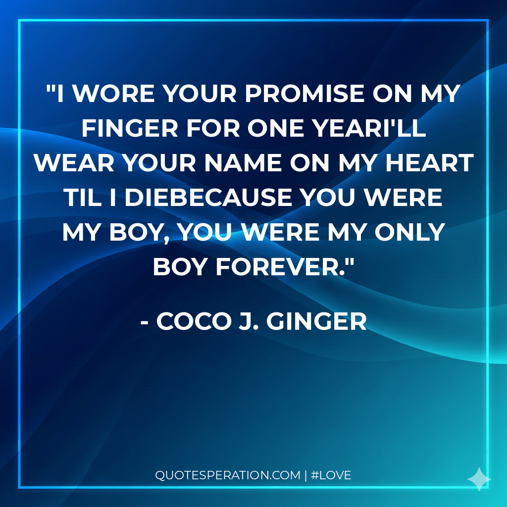 I wore your promise on my finger for one yearI'll wear your name on my heart til I dieBecause you were my boy, you were my only boy forever.